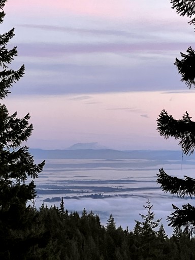 Cabins (United States of America, Hoodsport, Washington)