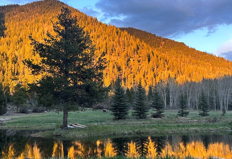 Tented Cabins (United States of America, Granby, Colorado)