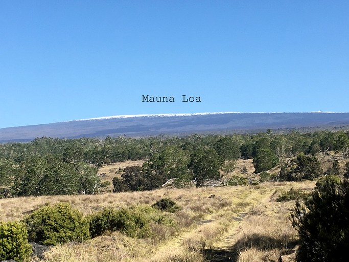 Cabins (United States of America, Captain Cook, Hawaii)