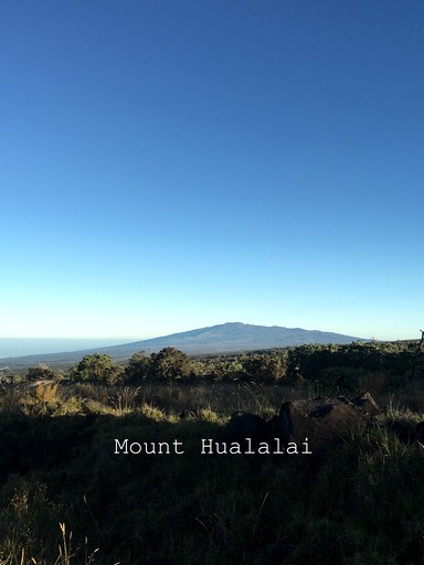 Cabins (United States of America, Captain Cook, Hawaii)