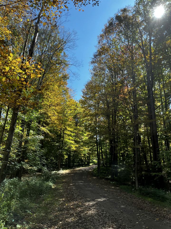 Incredible Equipped Yurt Amazing for a Glamping Experience in East Meredith, New York