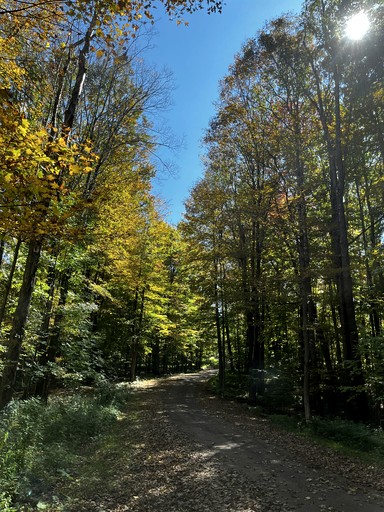 Yurts (United States of America, East Meredith, New York)