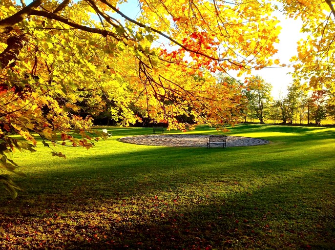 Yurts (United States of America, East Meredith, New York)