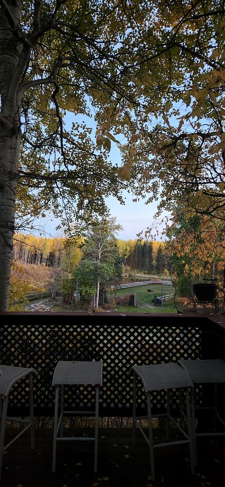 Rustic Countryside Cabin with Amazing Views in Parkland County, Alberta