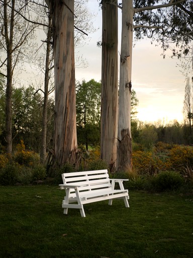 Cabins (New Zealand, Geraldine Downs, Canterbury)