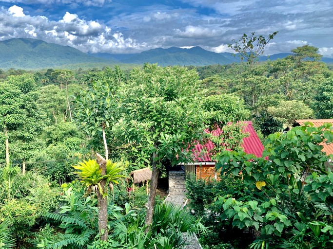 Cabins (Ecuador, --, Napo)