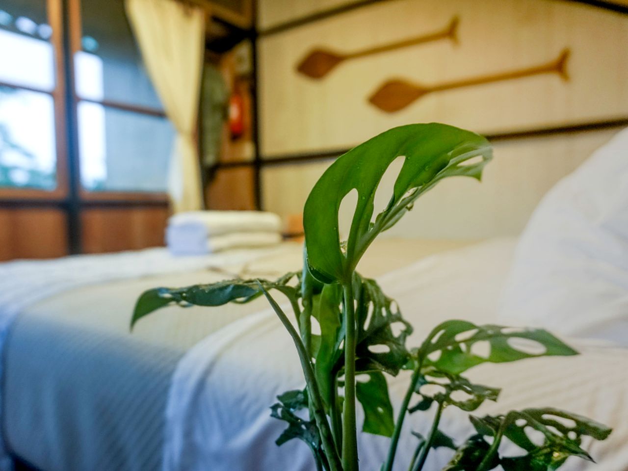Splendid Cabins with Incredible Amazon Rainforest Views in Ecuador