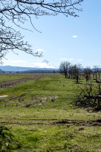 Tented Cabins (United States of America, Dufur, Oregon)