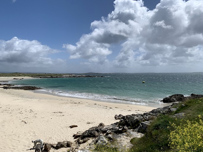 Daisy Bell Tent, Bell Tents, Galway, Ireland Glamping Hub