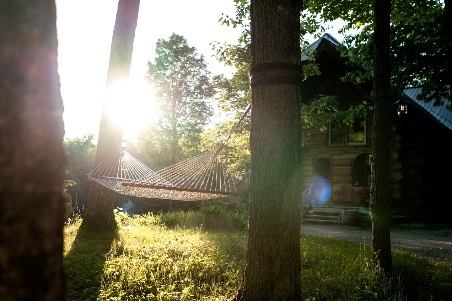 Spectacular Cabin Amazing for a Luxury Vacation in Gooderham, Ontario
