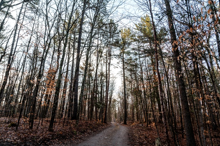 Cabins (Canada, Gooderham, Ontario)