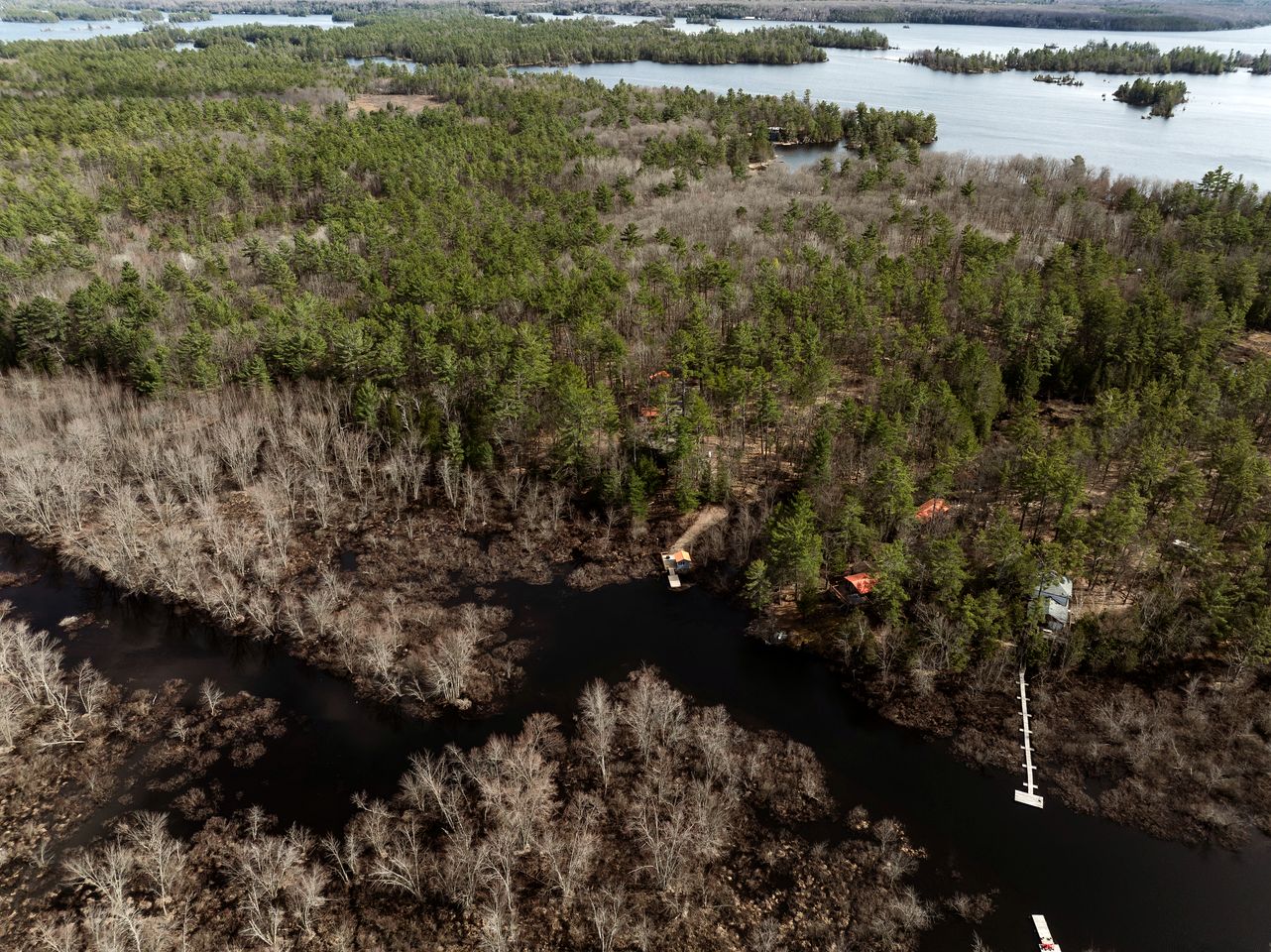 Pet-Friendly Cabin Fully Renovated in Gooderham, Ontario