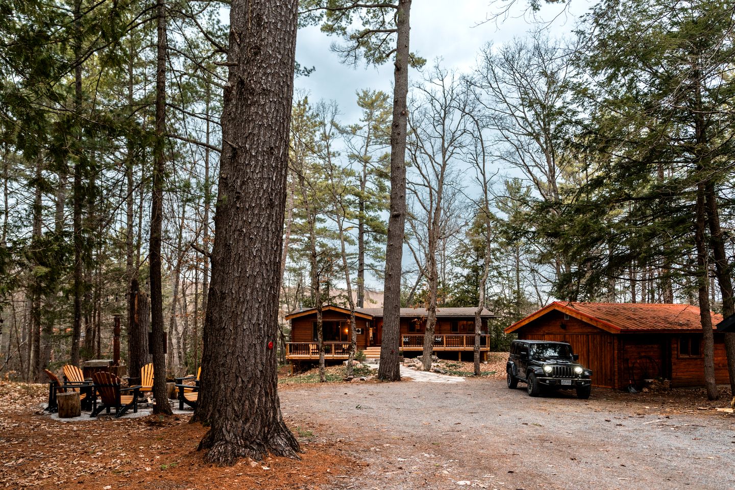 Pet-Friendly Cabin Fully Renovated in Gooderham, Ontario
