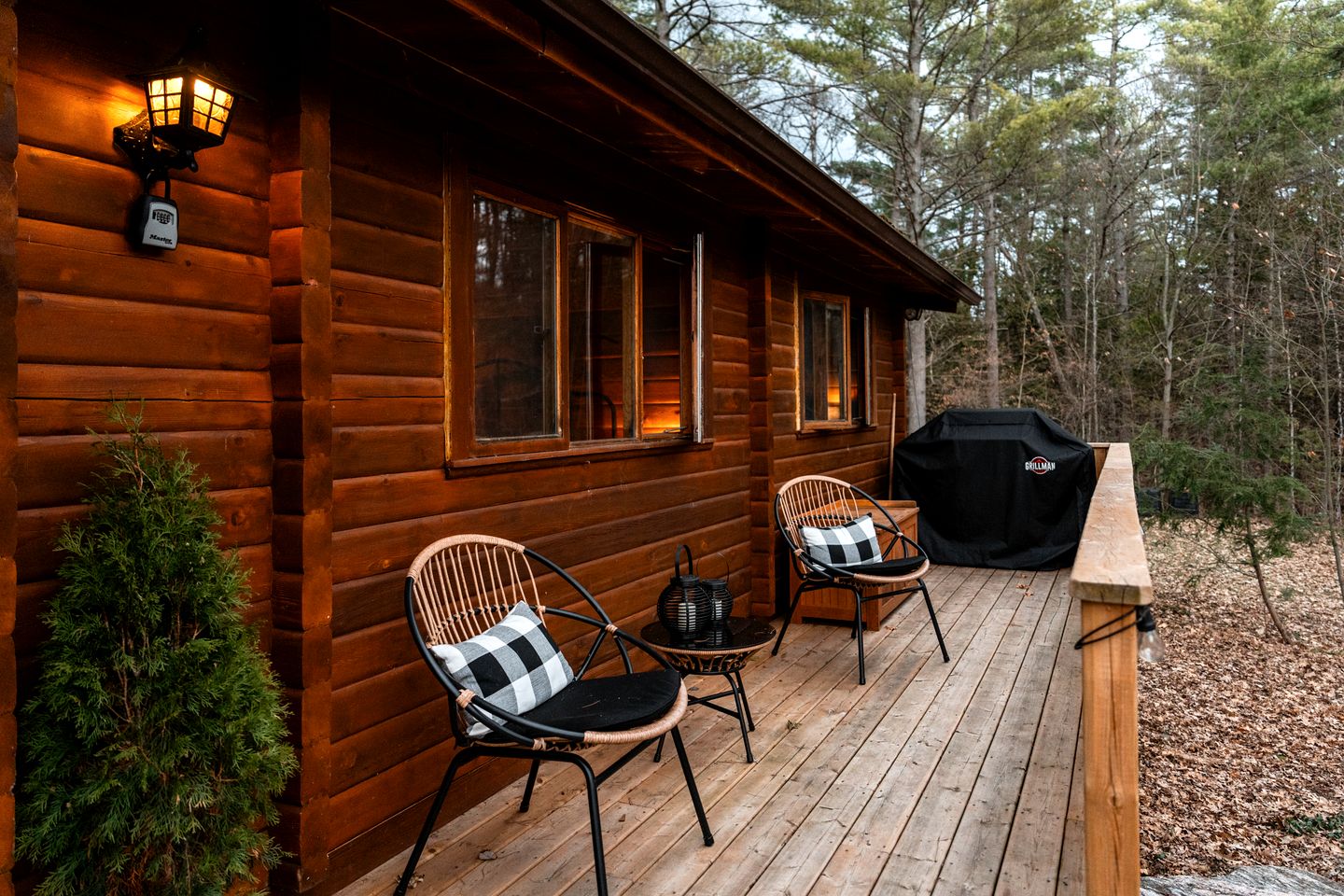 Pet-Friendly Cabin Fully Renovated in Gooderham, Ontario