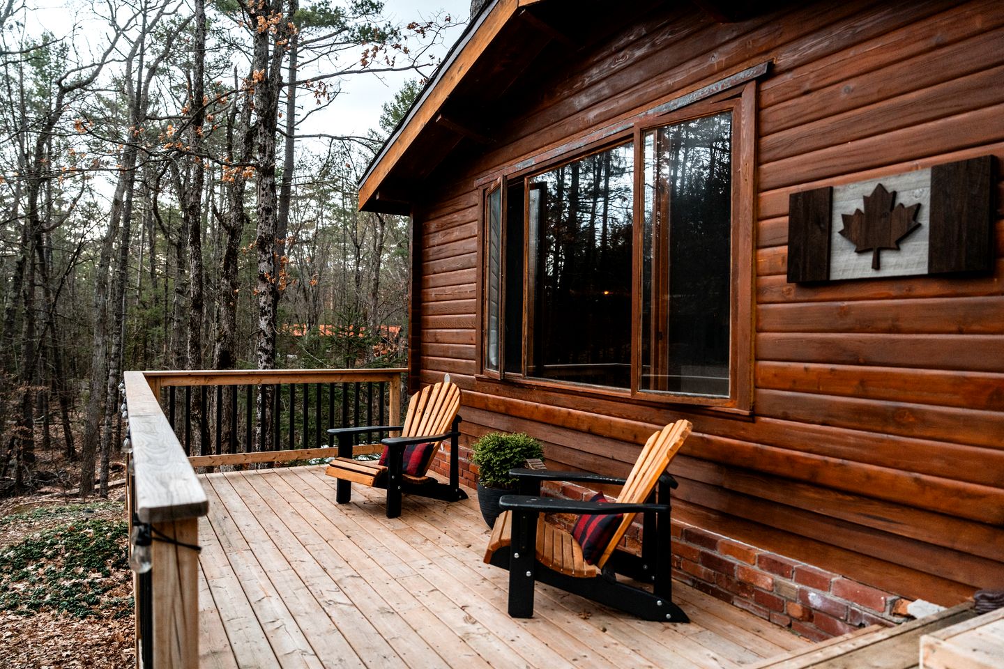 Pet-Friendly Cabin Fully Renovated in Gooderham, Ontario