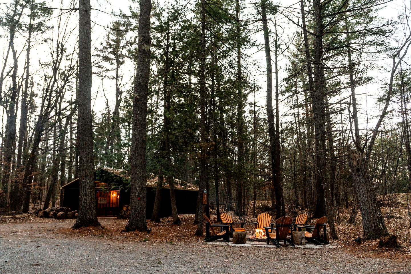 Pet-Friendly Cabin Fully Renovated in Gooderham, Ontario