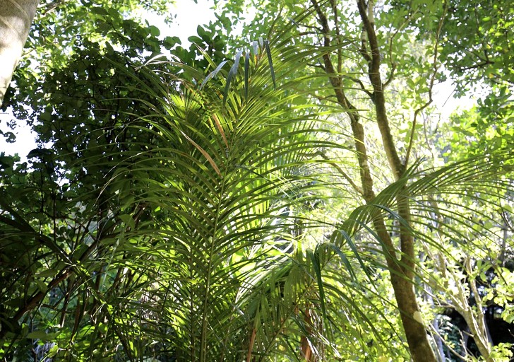 Pods (New Zealand, Helensville, Auckland)