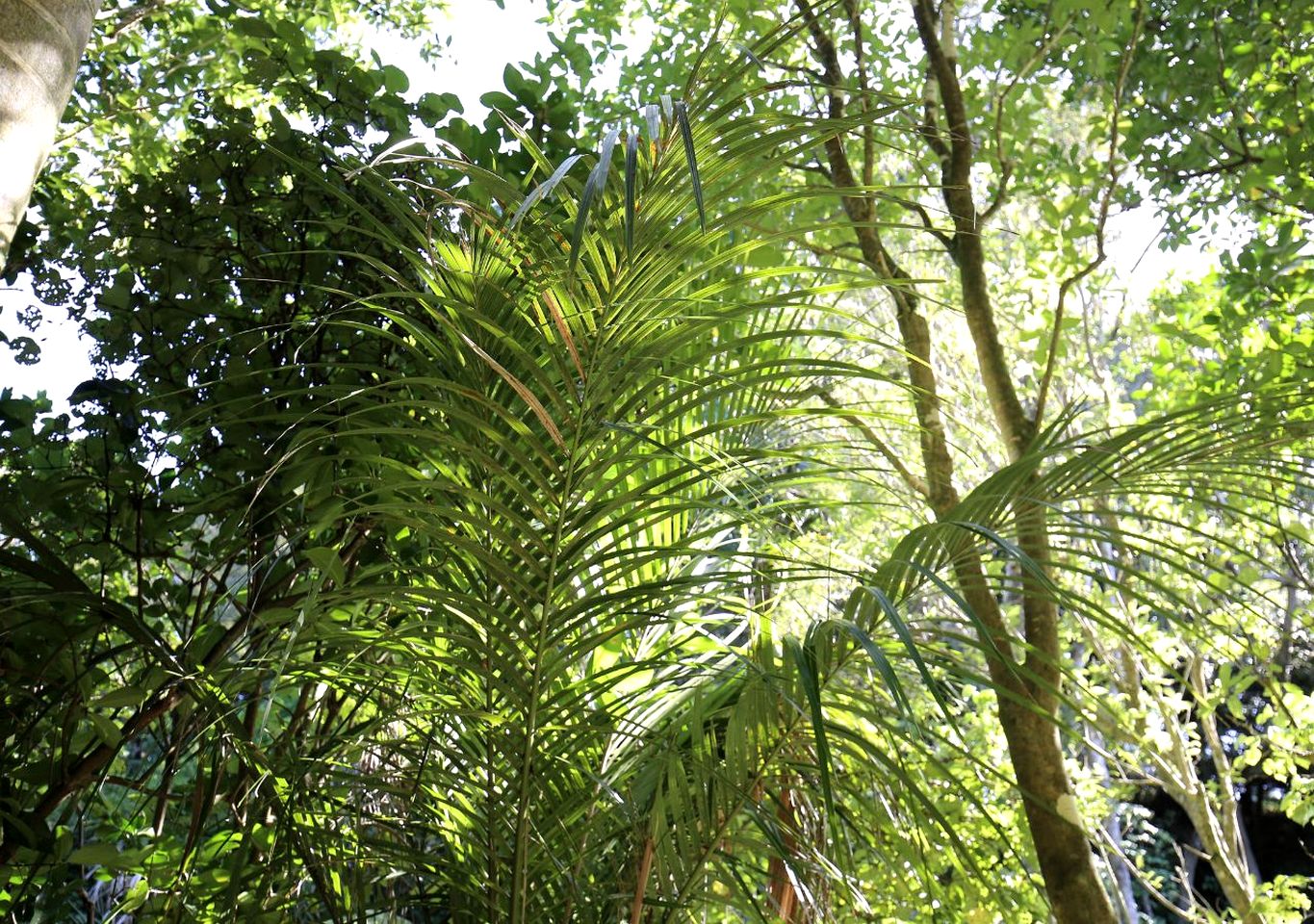 Spectacular Pod Incredible for a Luxury Glamping Experience in Helensville, Auckland