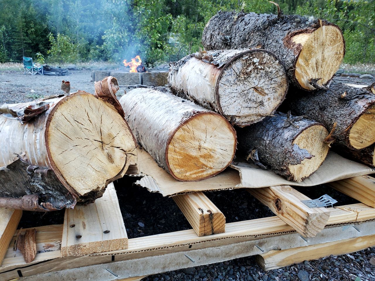 Amazing Glamping Tents Perfect for Outdoor and Nature Lovers in Chugiak, Alaska