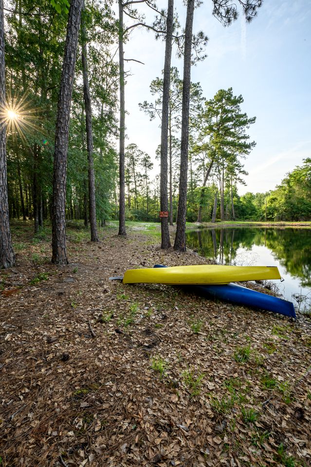 Perfect Couple's or Solo Getaway: 1840s Log Cabin, Claxton, GA