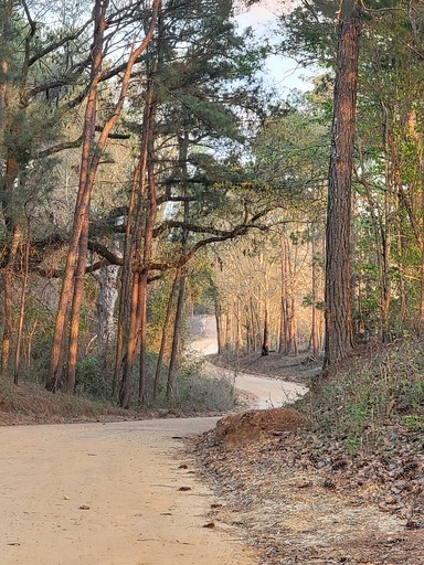 Cabins (United States of America, Claxton, Georgia)