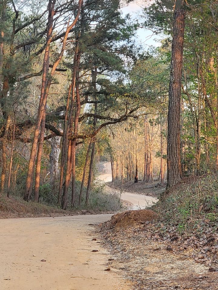 Perfect Couple's or Solo Getaway: 1840s Log Cabin, Claxton, GA