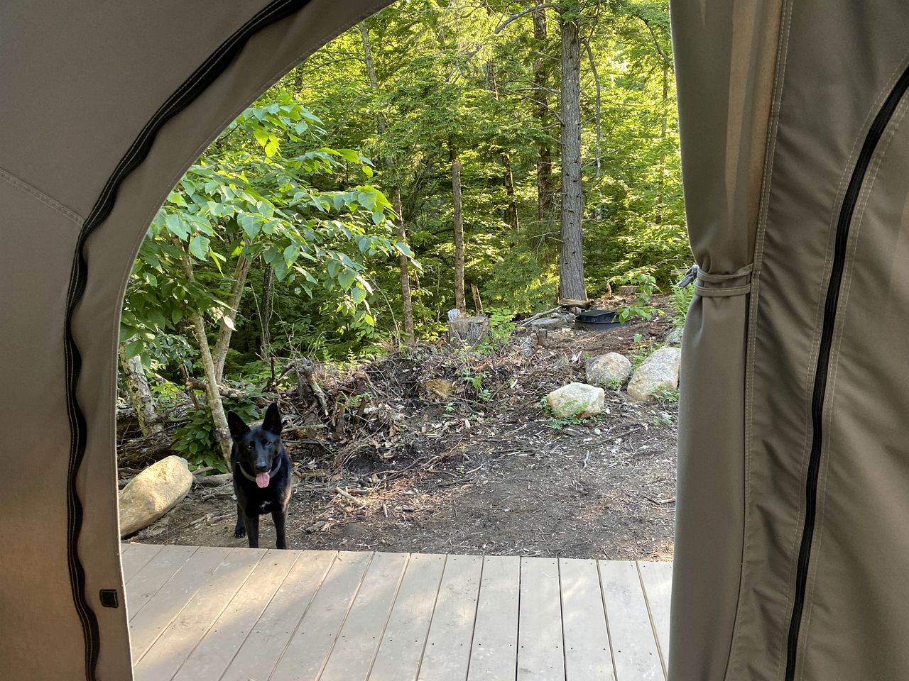Reconnect with Nature at this Glamping Tent in East Wakefield, New Hampshire