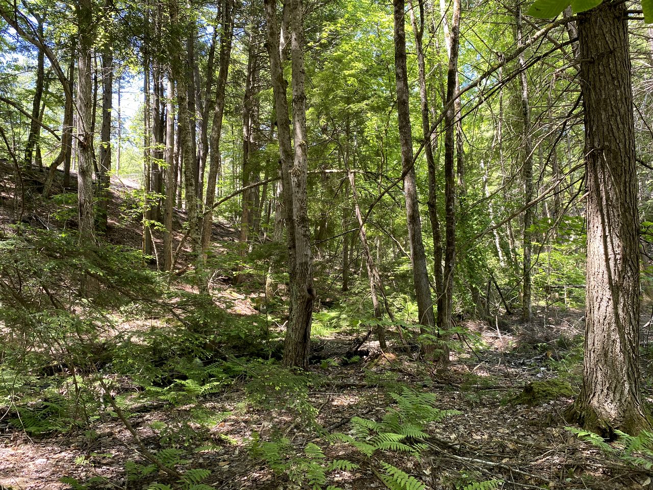 Reconnect with Nature at this Glamping Tent in East Wakefield, New Hampshire