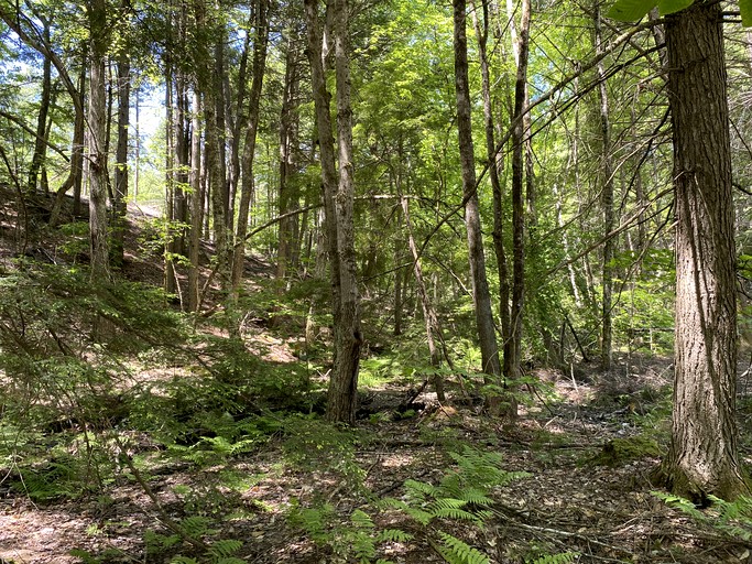 Tented Cabins (United States of America, East Wakefield, New Hampshire)