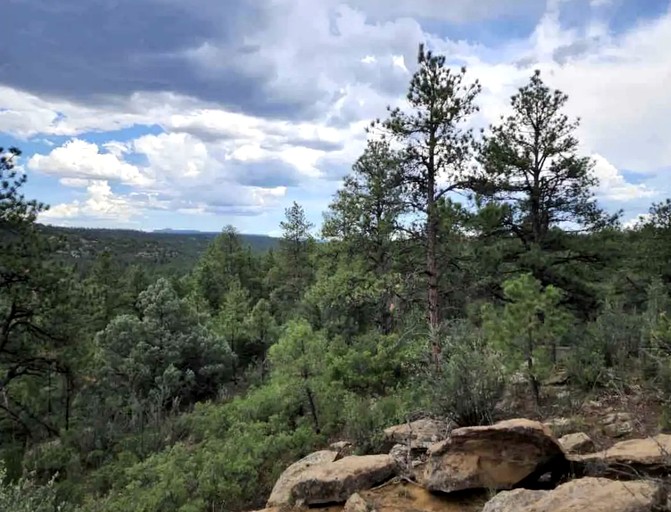 Bell Tents (United States of America, Trinidad, Colorado)