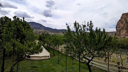 Quaint Bell Tent with Beautiful Vineyards Views in Cortez, Colorado photo 3