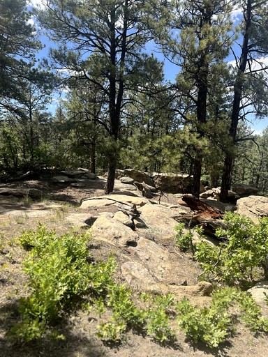 Bell Tents (United States of America, Trinidad, Colorado)