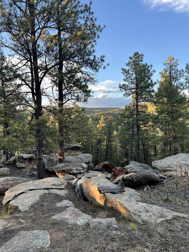 Private Bell Tent with Amazing Stargazing in Colorado