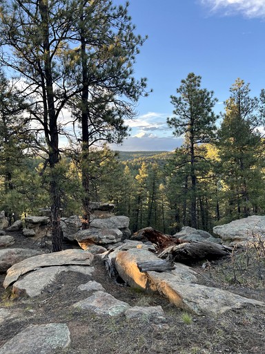 Bell Tents (United States of America, Trinidad, Colorado)