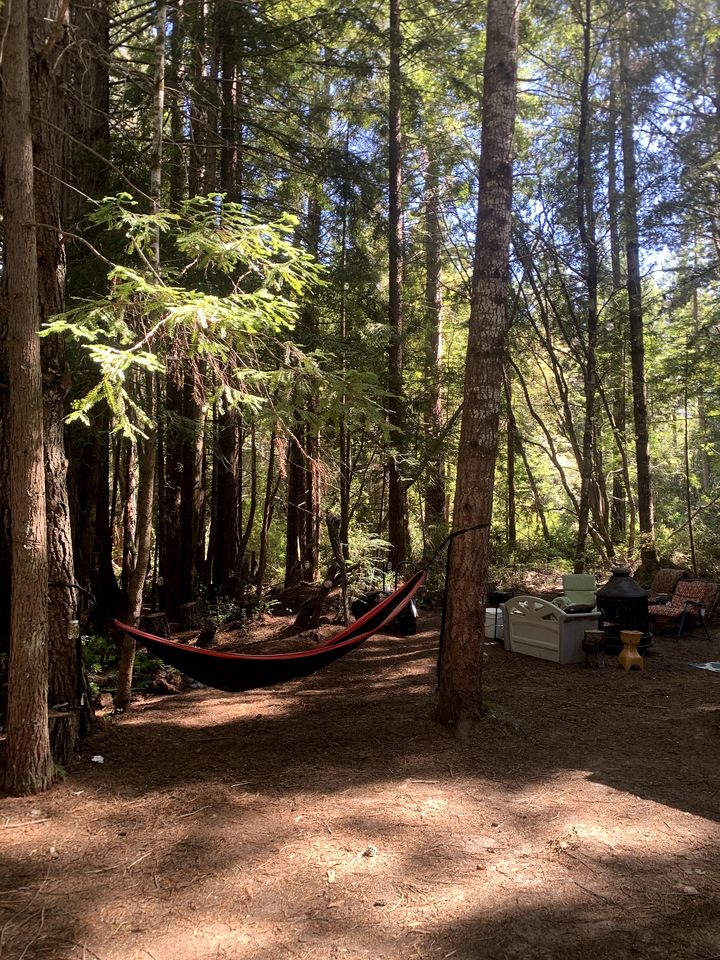 Cozy Forest Caravan Near the Coast in Albion, California