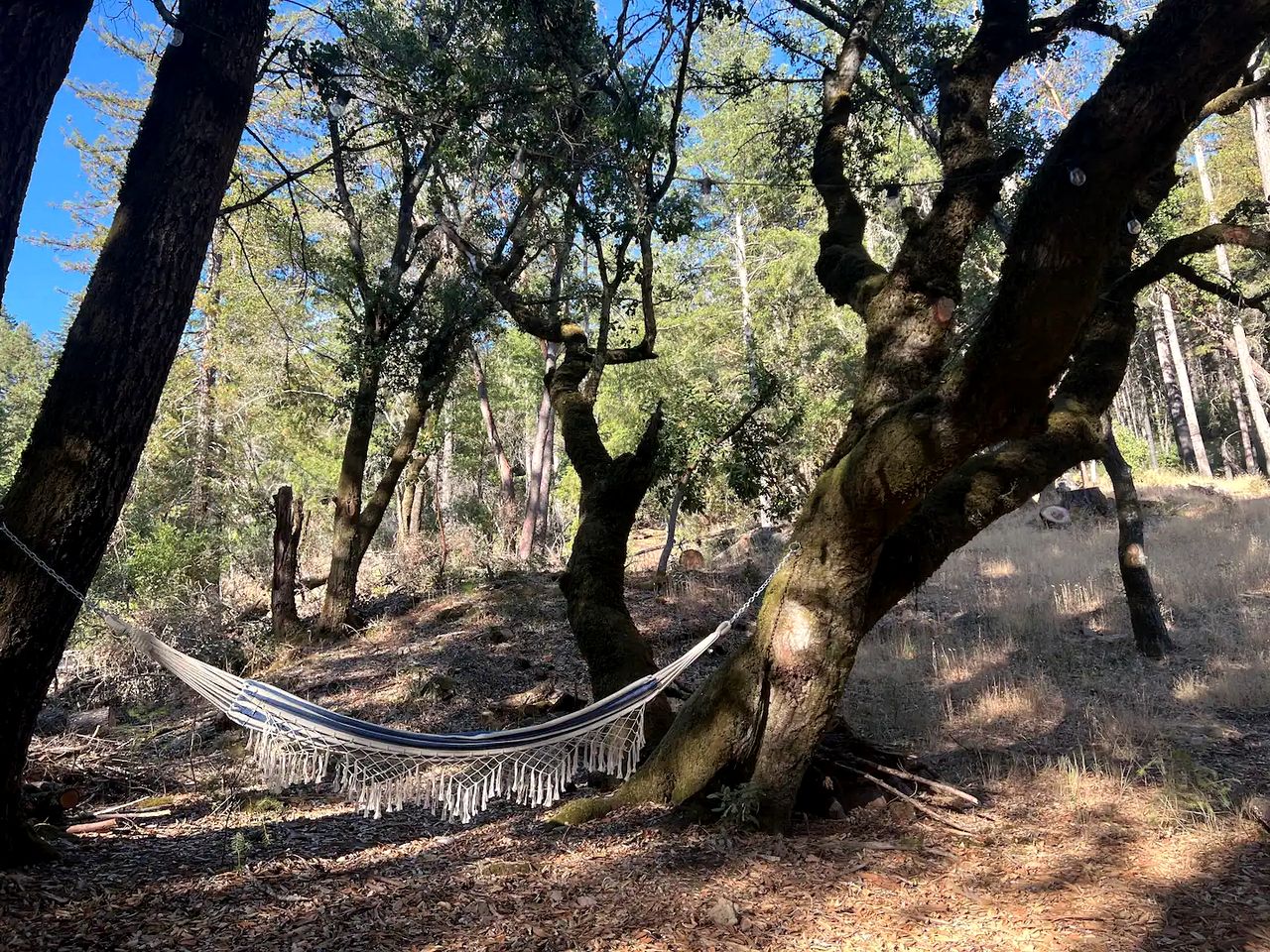 Secluded Airstream for Glamping Near Big Basin, Redwoods California