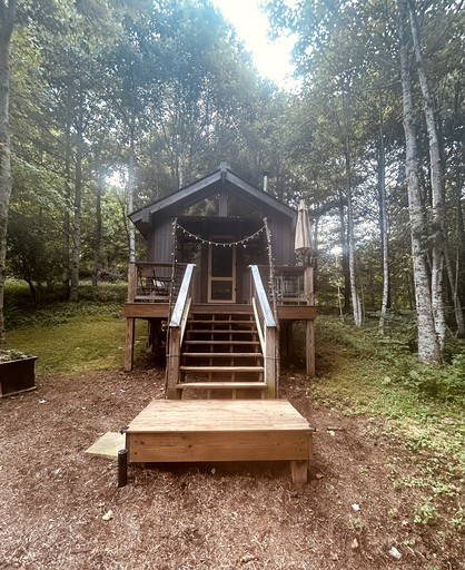 Cabins (United States of America, Burnsville, North Carolina)