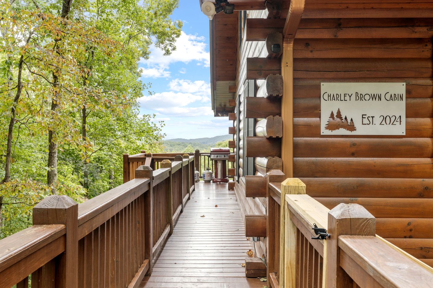 Secluded Cabin in the Woods with Hot Tub and Fire Pit in Blue Ridge, Georgia