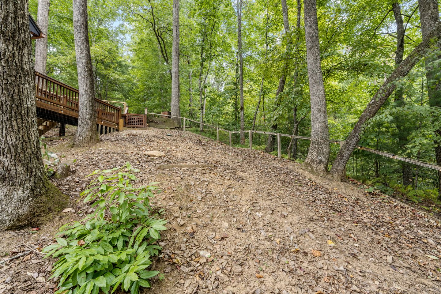 Secluded Cabin in the Woods with Hot Tub and Fire Pit in Blue Ridge, Georgia