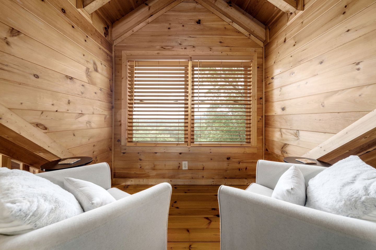 Secluded Cabin in the Woods with Hot Tub and Fire Pit in Blue Ridge, Georgia
