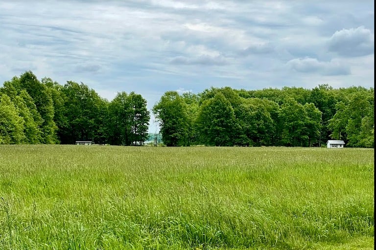 Cabins (United States of America, Oberlin, Ohio)