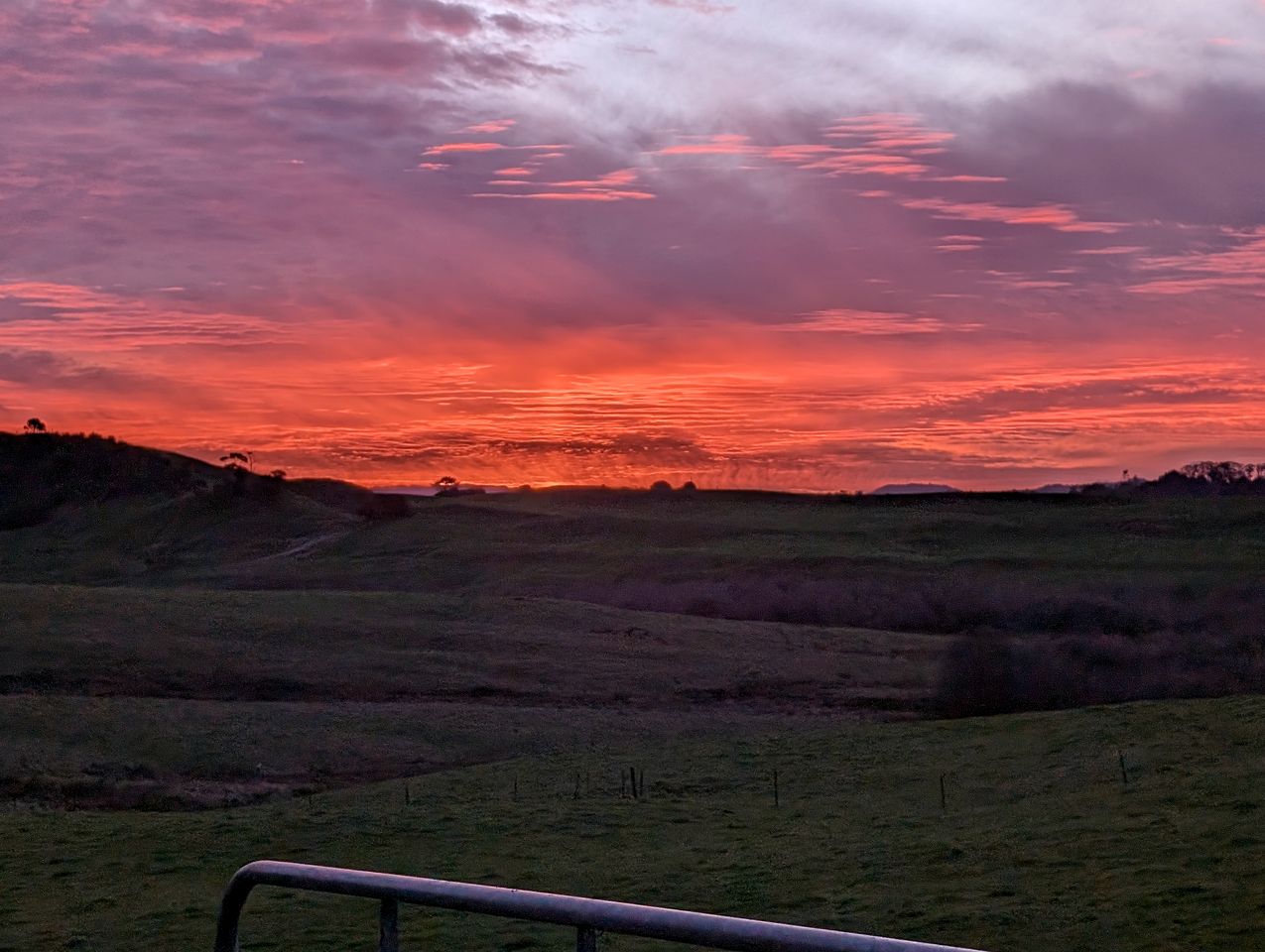 Isolated Dome Ideal for a Romantic Getaway in Rangiriri, New Zealand