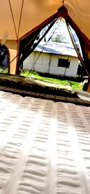 undefined photo 5