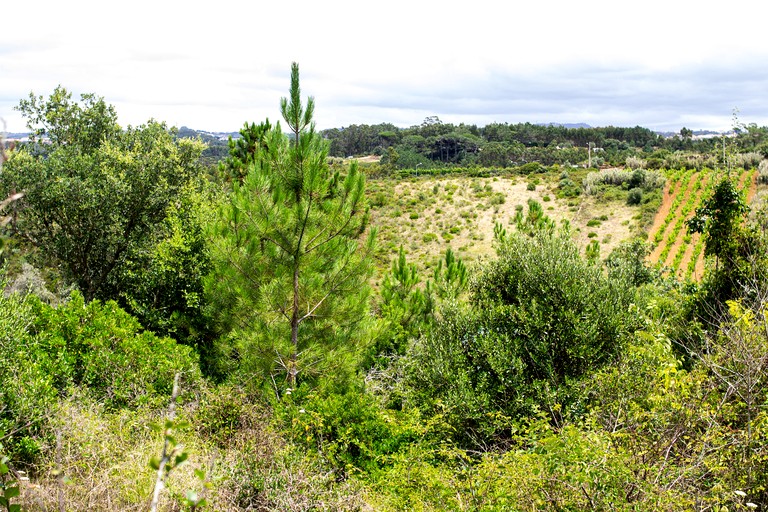 Cabins (Portugal, Sintra, Sintra)