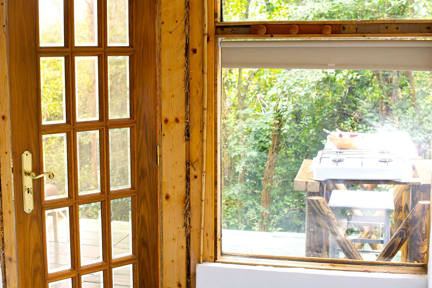 Picturesque Tiny Cabin Nestled into the Woods Near the Coast in Portugal