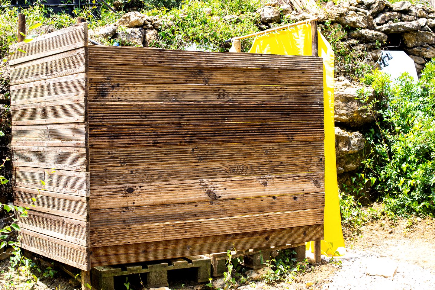 Picturesque Tiny Cabin Nestled into the Woods Near the Coast in Portugal