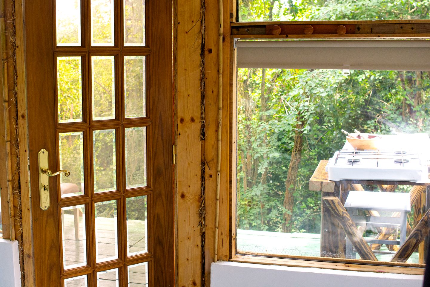 Picturesque Tiny Cabin Nestled into the Woods Near the Coast in Portugal