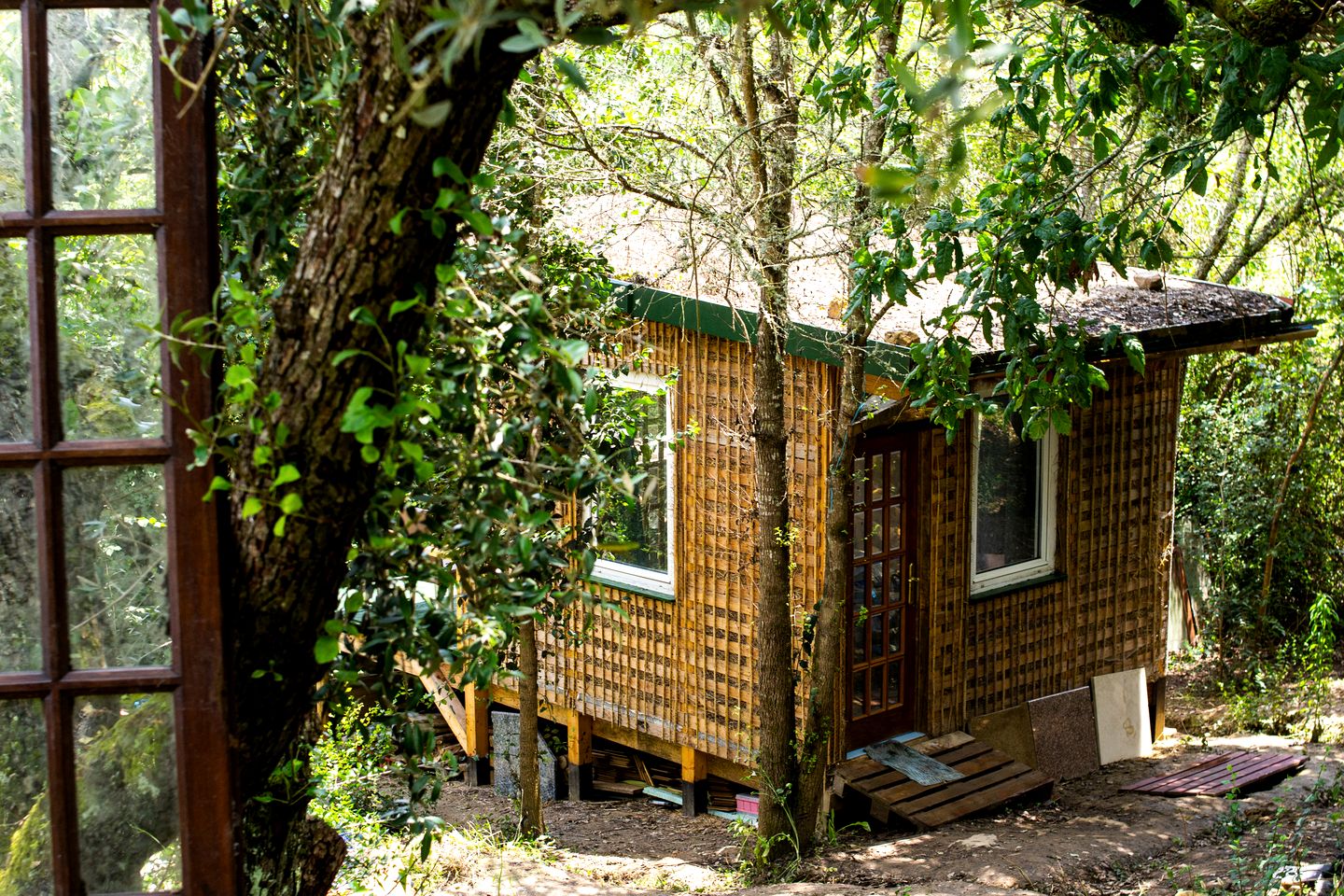 Picturesque Tiny Cabin Nestled into the Woods Near the Coast in Portugal