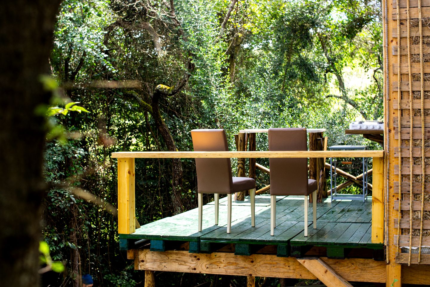 Picturesque Tiny Cabin Nestled into the Woods Near the Coast in Portugal