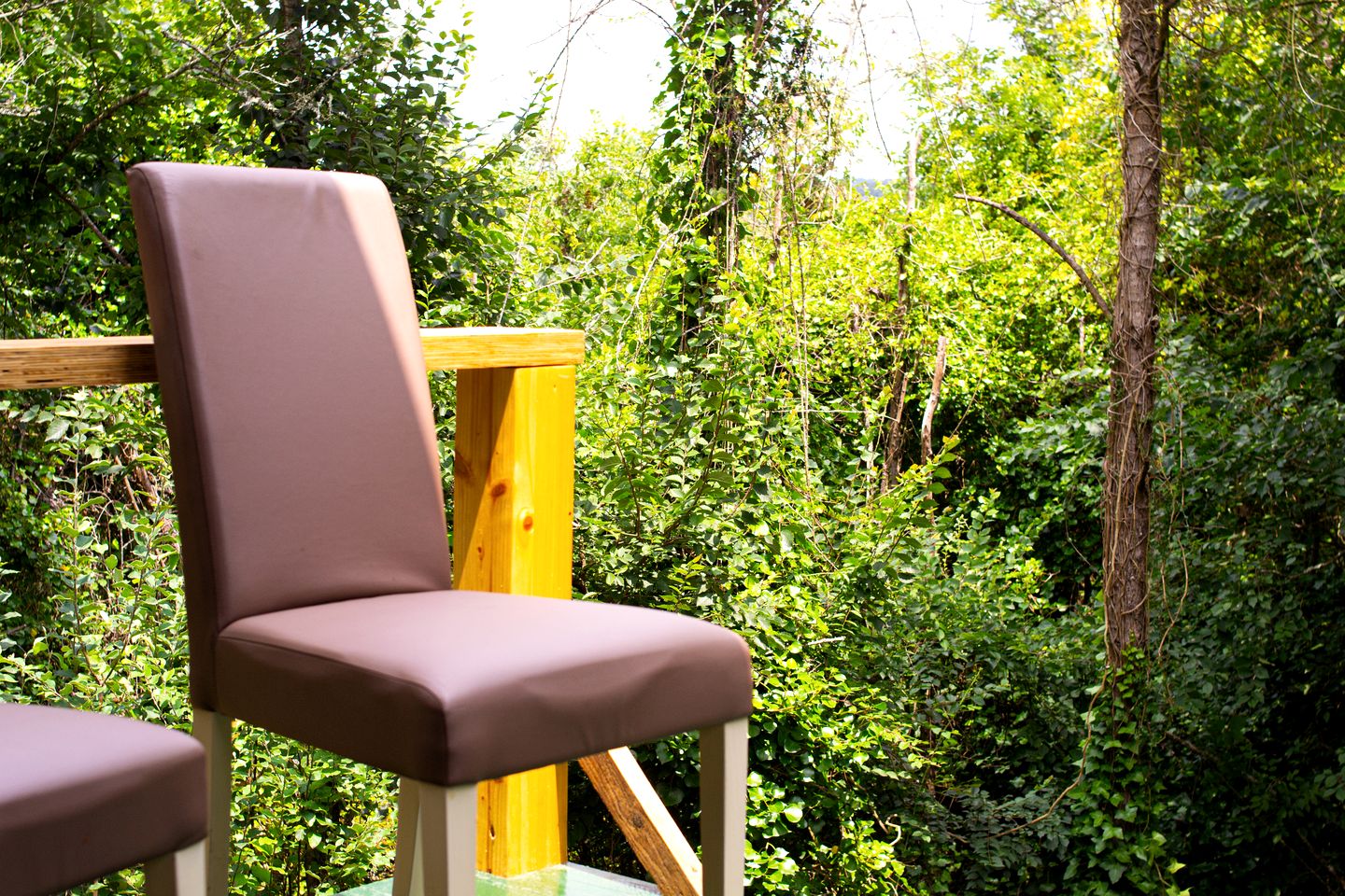 Picturesque Tiny Cabin Nestled into the Woods Near the Coast in Portugal